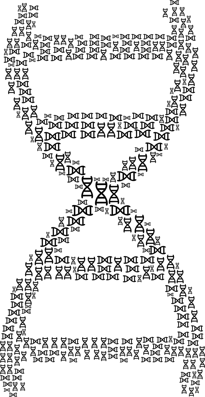 定西健康码查询不到 [定西健康码查询不到核酸报告]