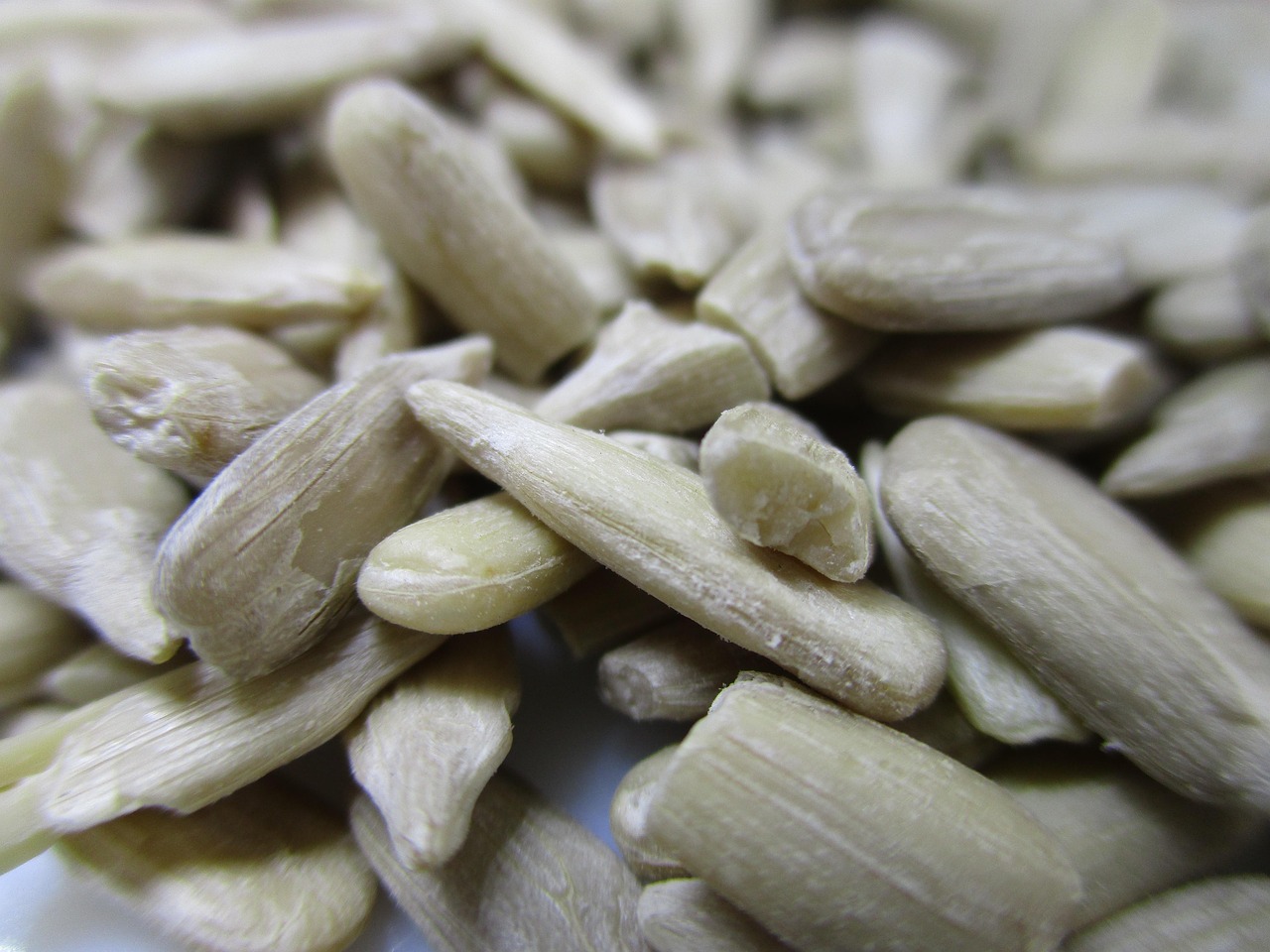 素食主义者健康吗?素食主义者坏处 素食主义者健康吗?素食主义者坏处