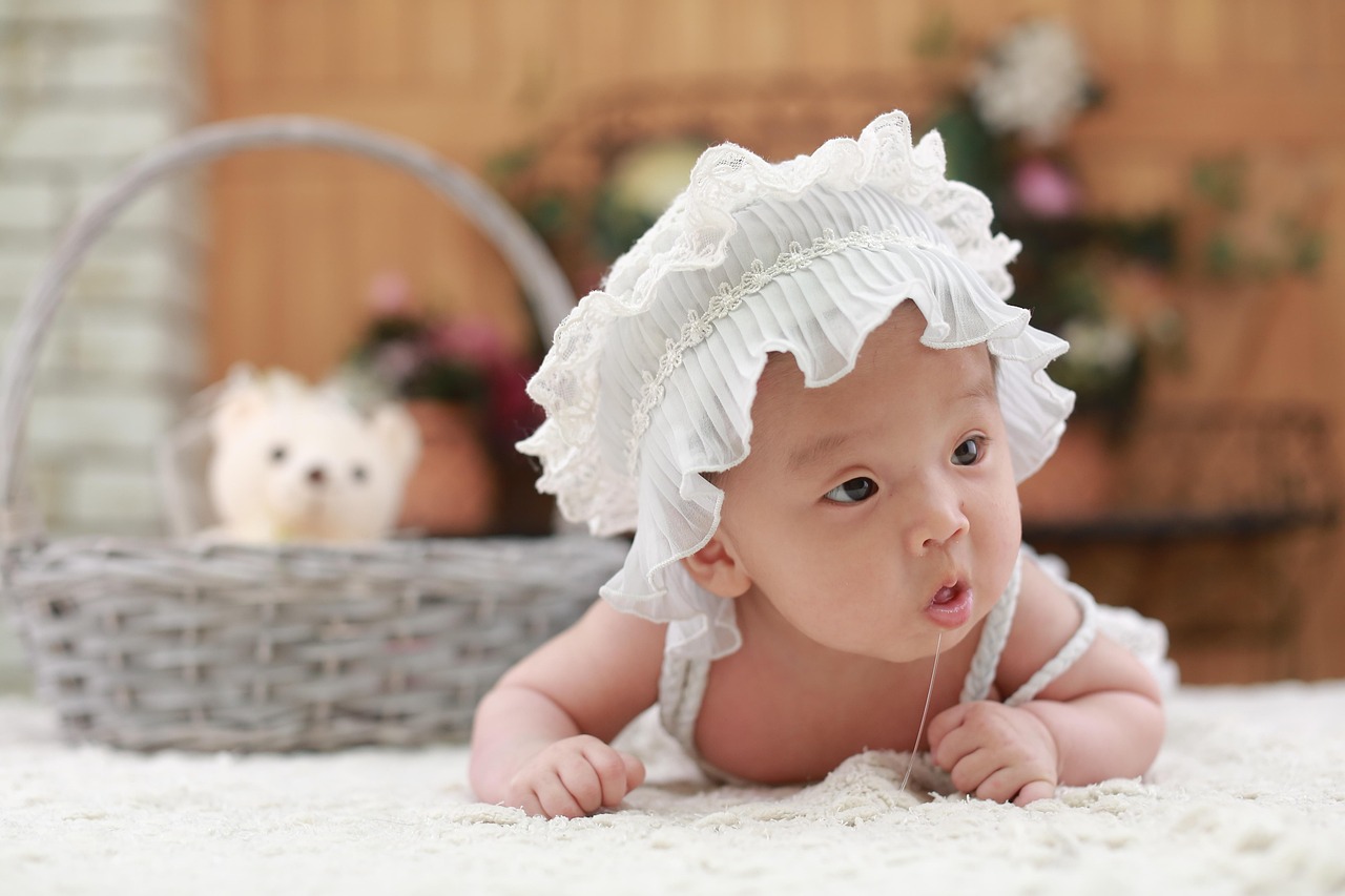 分月龄早教玩具,不同月龄宝宝益智玩具