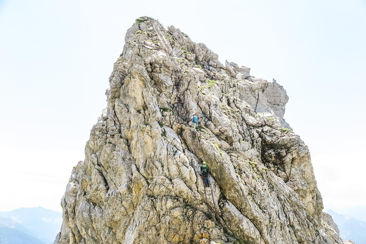 驴友登山意外邂逅蛇出没警示，自然与探险的微妙平衡