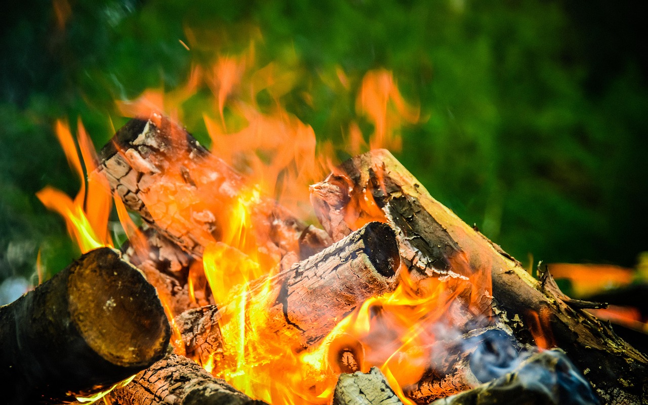 “下地干活式旅游”火了