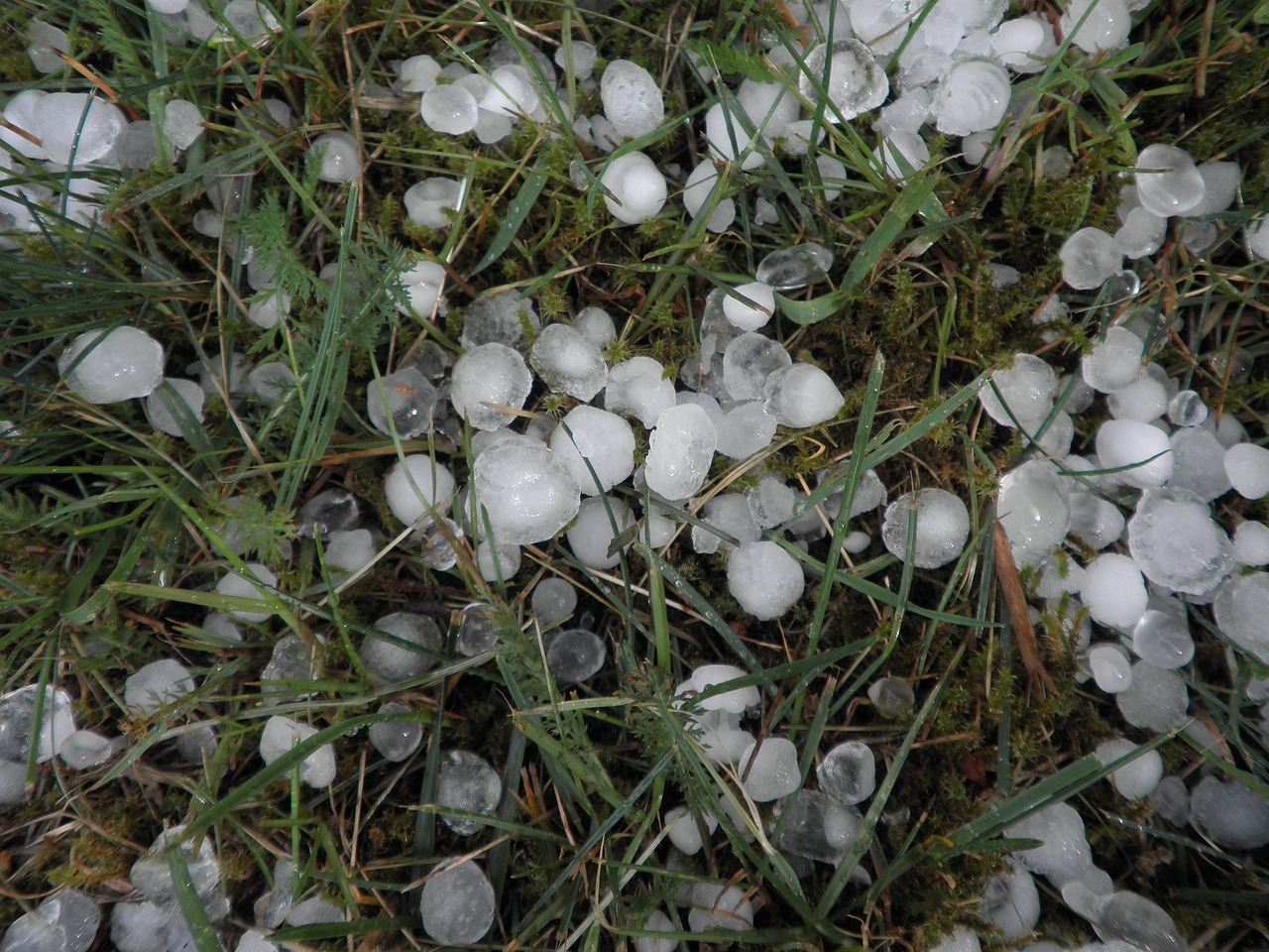 烟台冰雹视频 [烟台天气 冰雹]