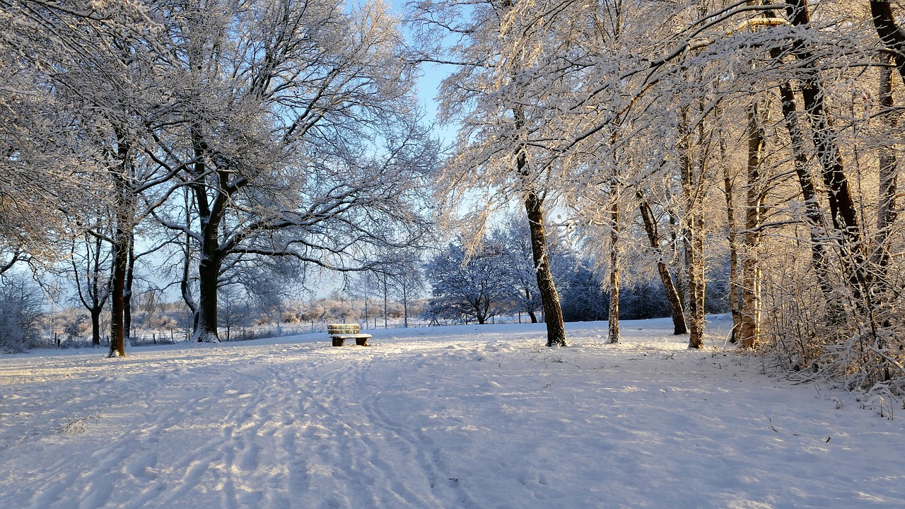 鹧鸪山滑雪场的天气,冬日里的冰雪奇缘 鹧鸪山滑雪场的天气,冬日里的冰雪奇缘