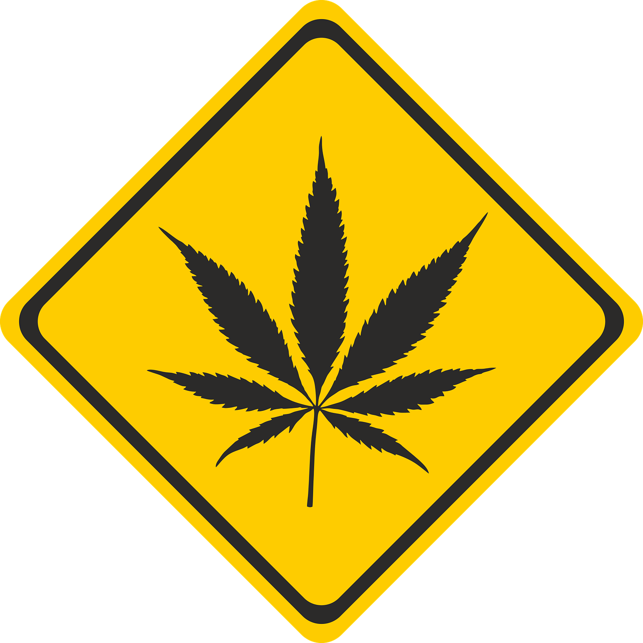健康传播的使命 [健康传播的意义是什么]