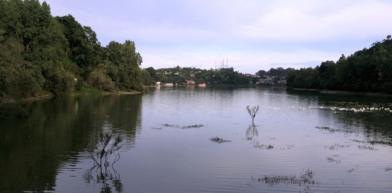 湖南湘潭市湘潭县,湖南湘潭市湘潭县区号 湖南湘潭市湘潭县,湖南湘潭市湘潭县区号