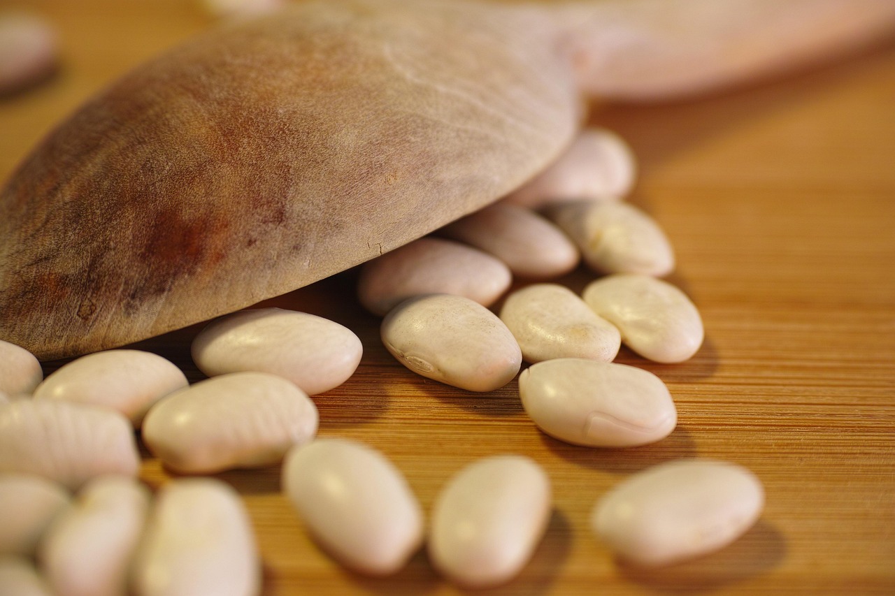 乳房健康是什么样/乳房 健康 乳房健康是什么样/乳房 健康