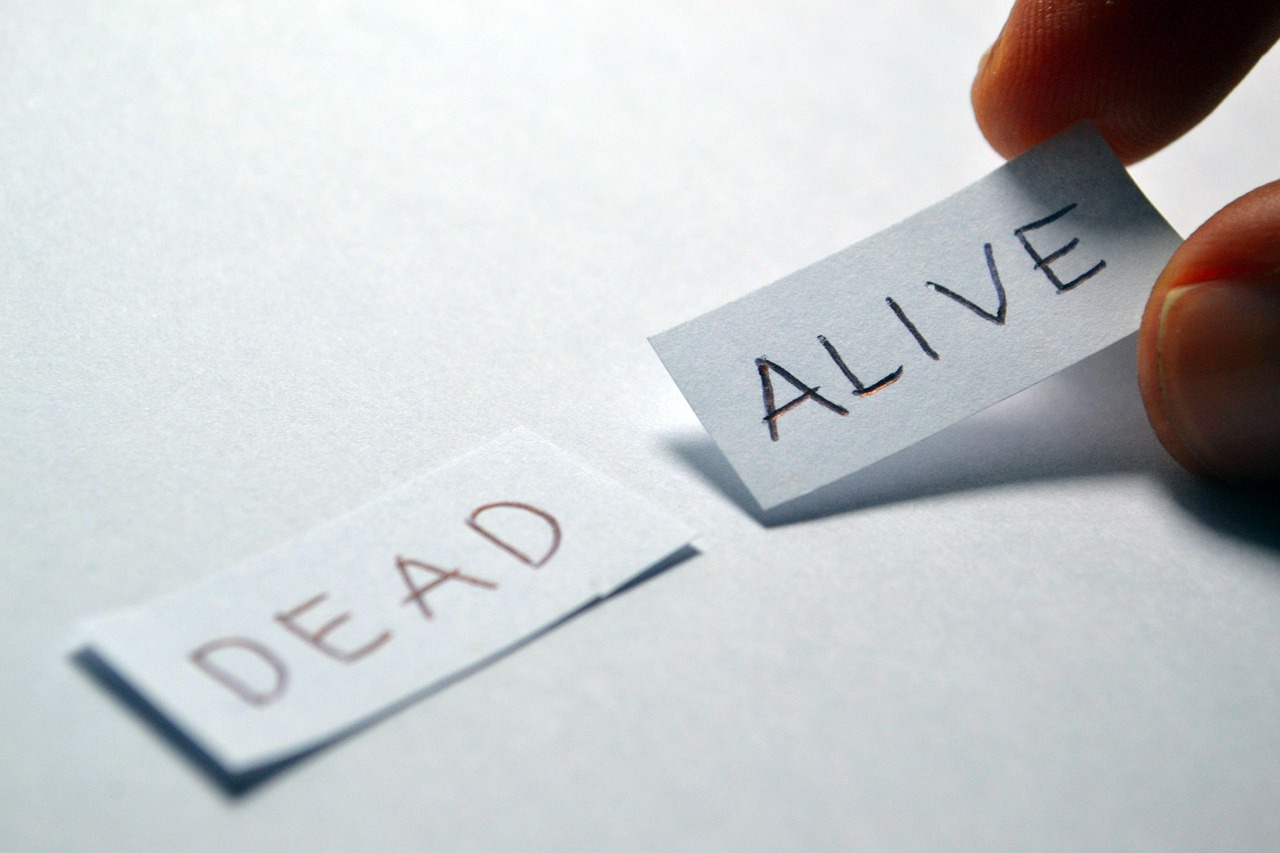 保险代理公司,买对保险的智慧之选 保险代理公司,买对保险的智慧之选