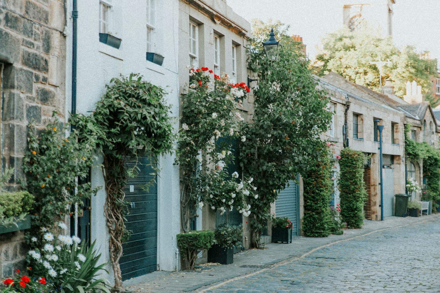 临沂市天琪 [临沂天齐庙图片]