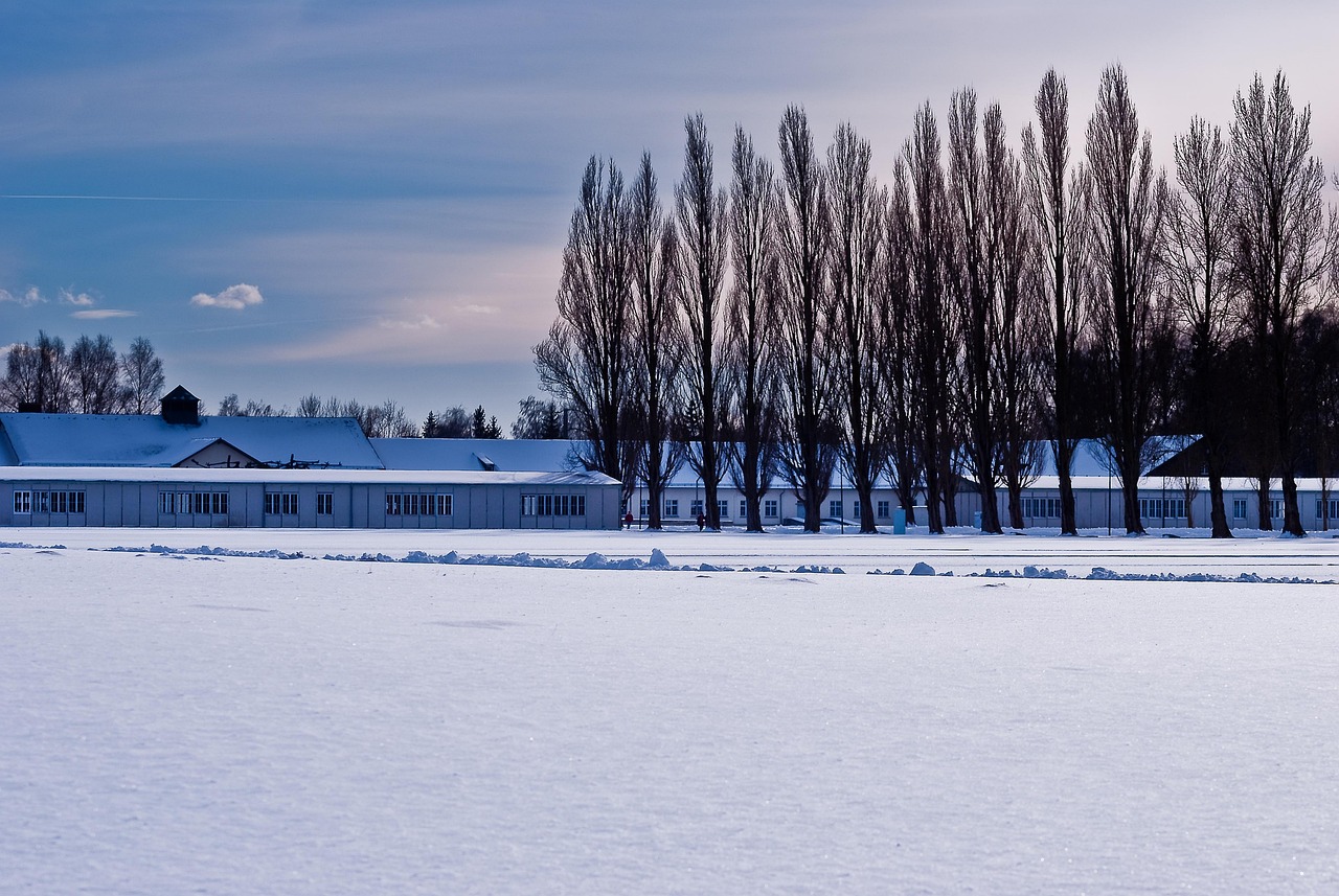德国雪灾!德国的雪 德国雪灾!德国的雪