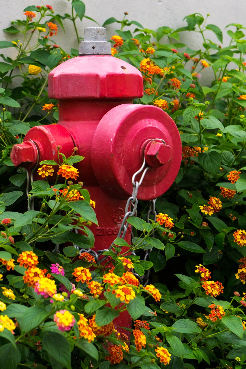 植物和园艺的用具,植物和园艺的用具一样吗