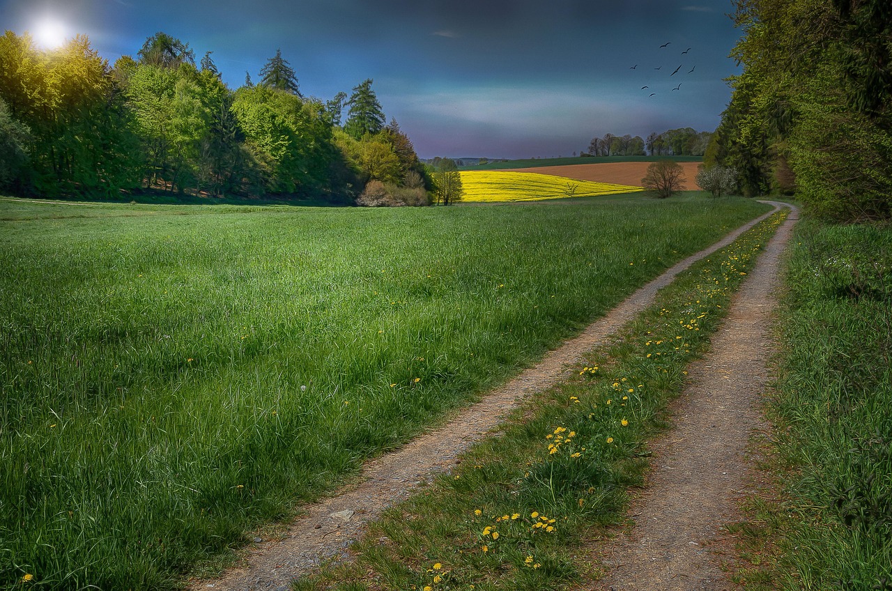 九寨沟降水，自然恩赐与生态保护的交响曲