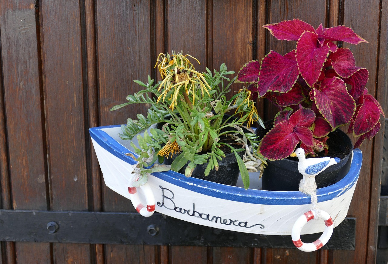 平展的花卉,平展型插花图片