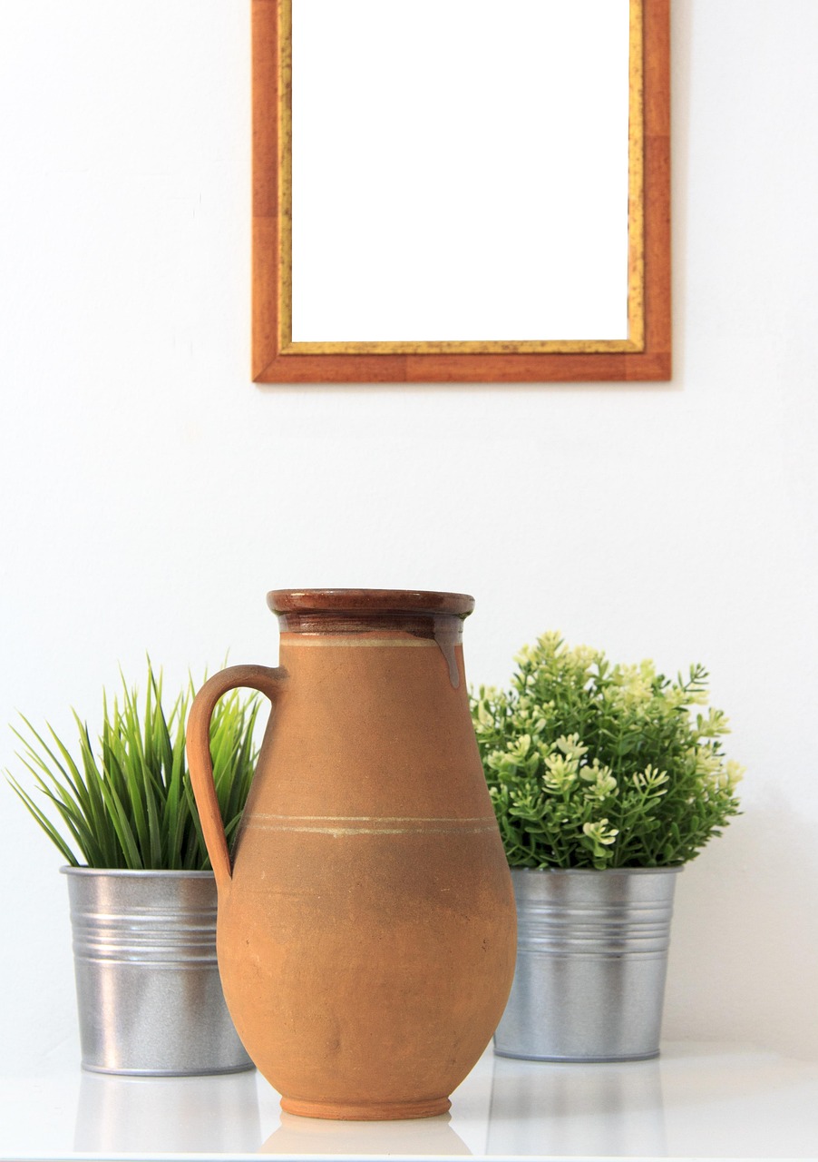 青州花卉盆景金弹子价格 [金弹子盆景市场前景]