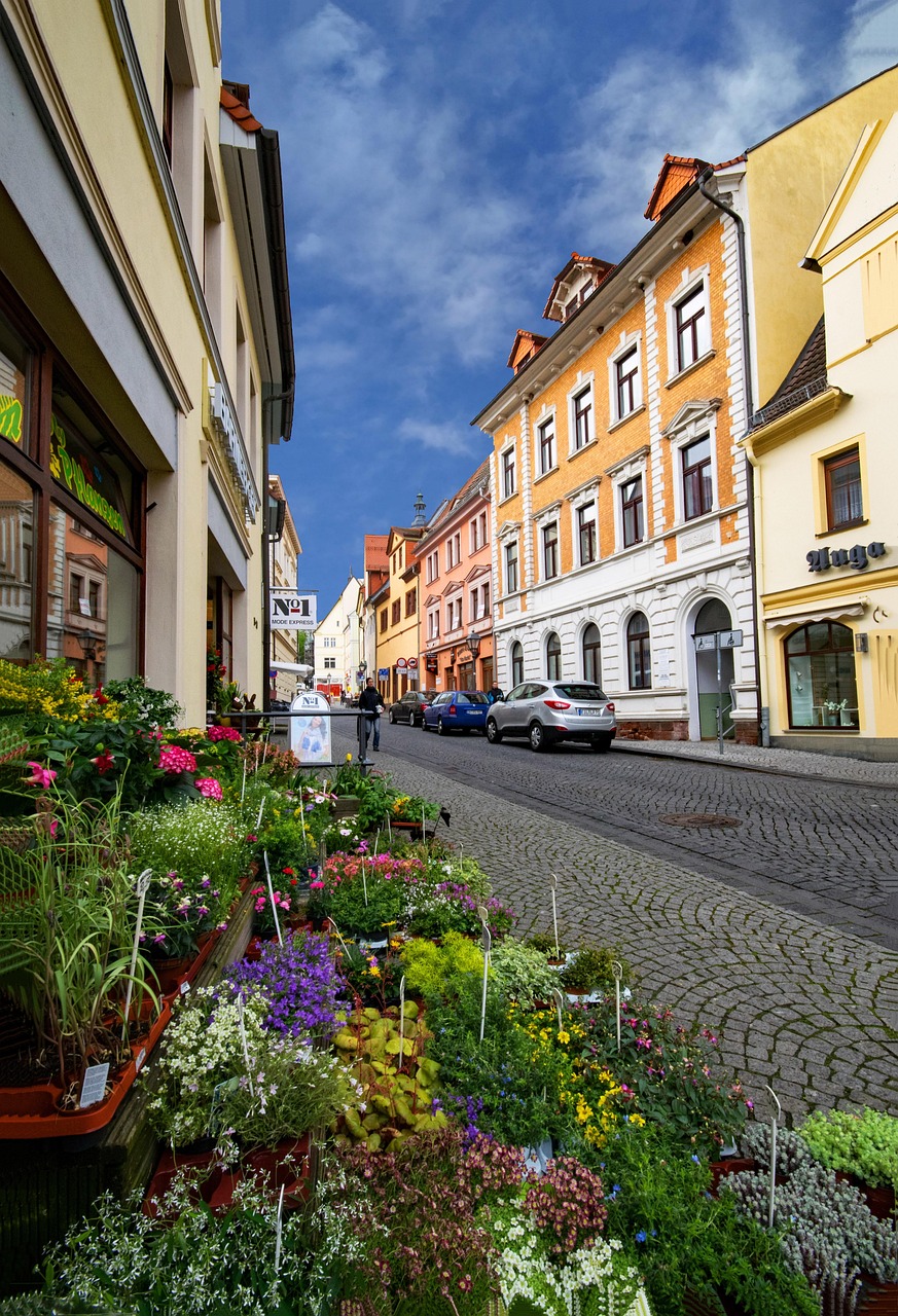 德州一中地图!德州一中地图位置