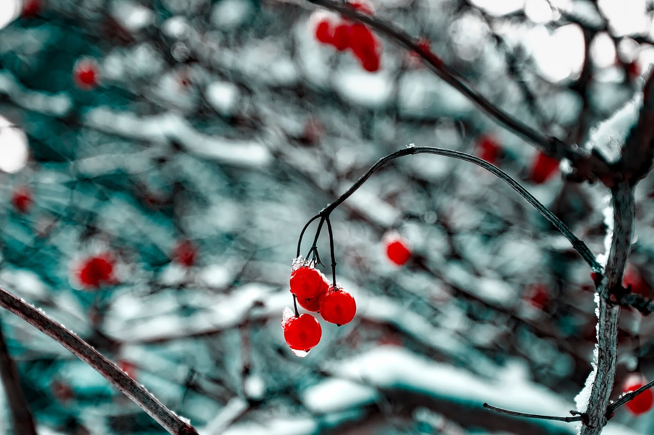 有关健康的诗歌朗诵?关于健康的朗诵词