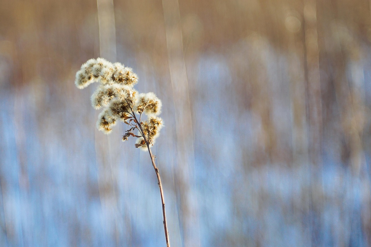 健康的心态突破,健康的心态是成功的基础 健康的心态突破,健康的心态是成功的基础