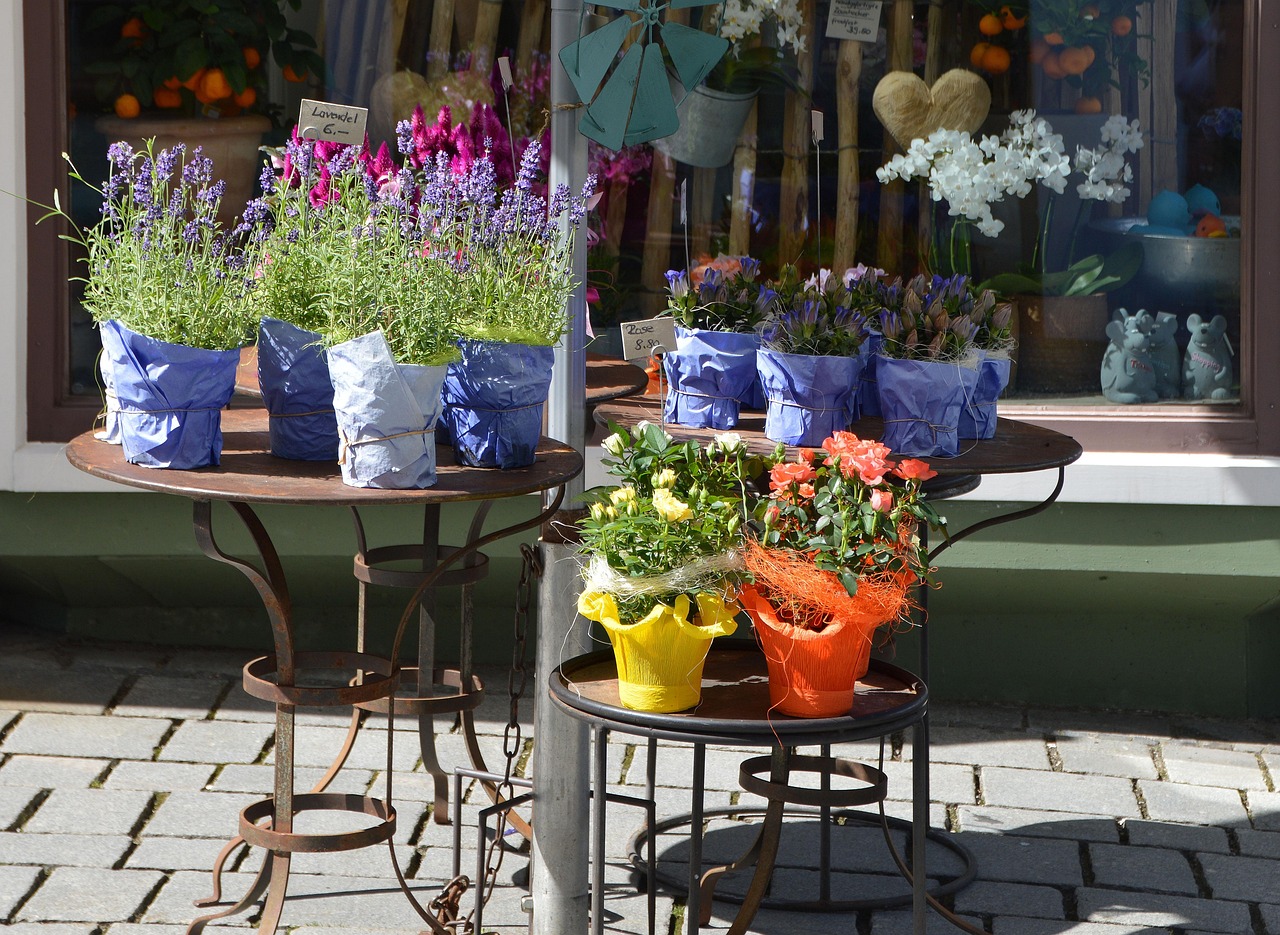 花卉布置室内!花卉布置方案 花卉布置室内!花卉布置方案