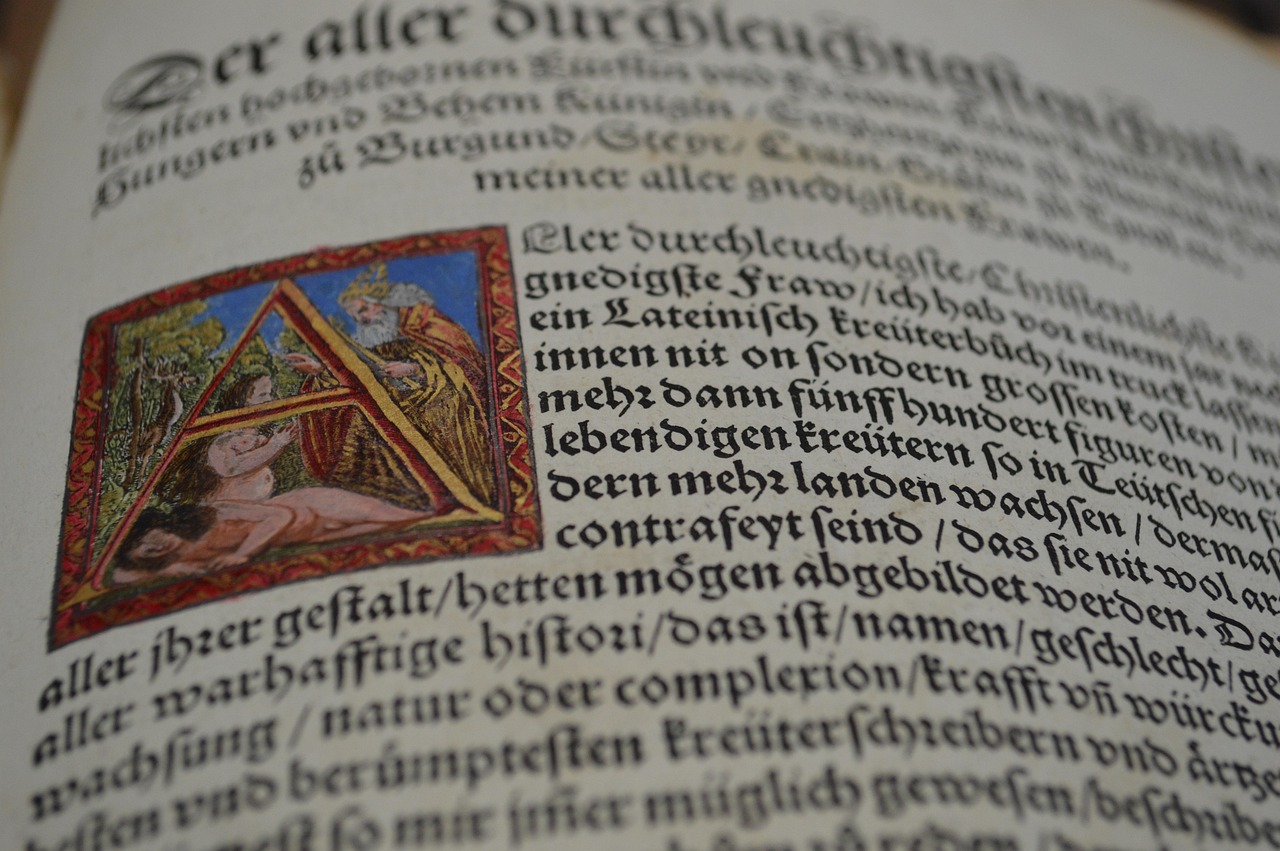 围棋赛事荣誉名称/围棋荣誉称号