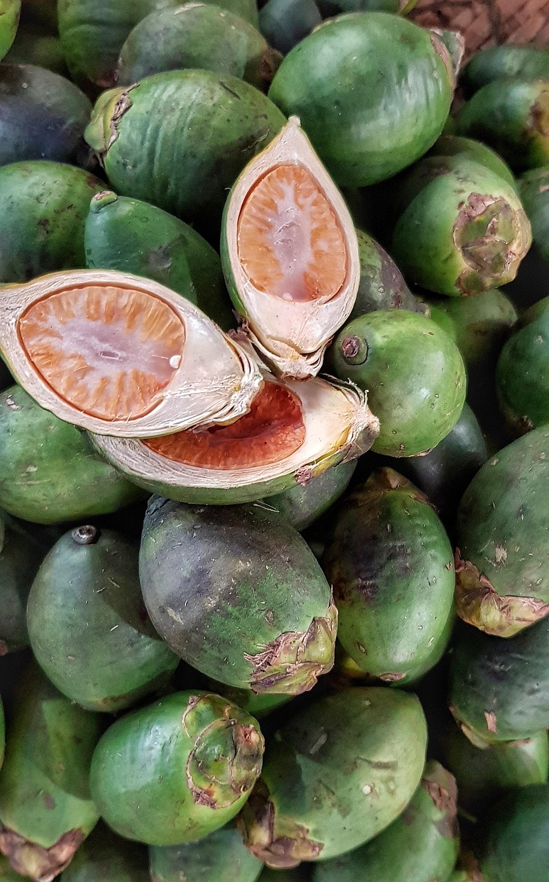 精神健康饮食文化!精神科饮食健康宣教内容