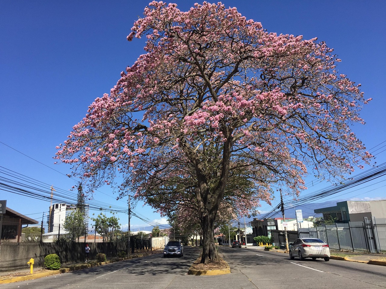 吉林省集安市,自然与文化的交响乐章 吉林省集安市,自然与文化的交响乐章