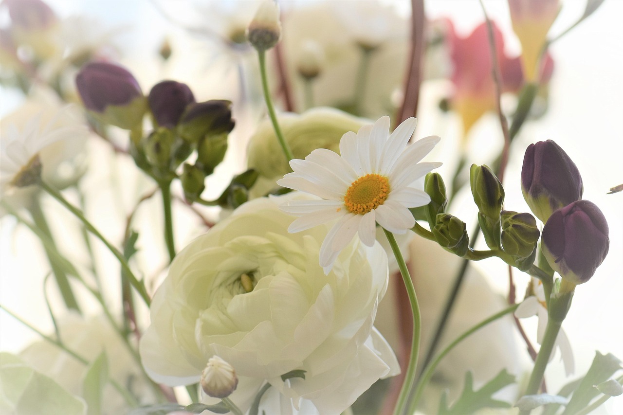 绿植花卉批发销售公司名字 [绿植花卉批发销售公司名字有哪些]