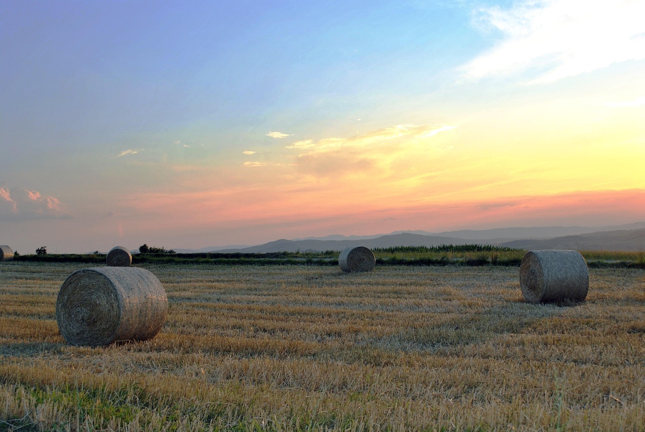 种粮户怎样参加保险/种粮保险国家有补贴吗 种粮户怎样参加保险/种粮保险国家有补贴吗
