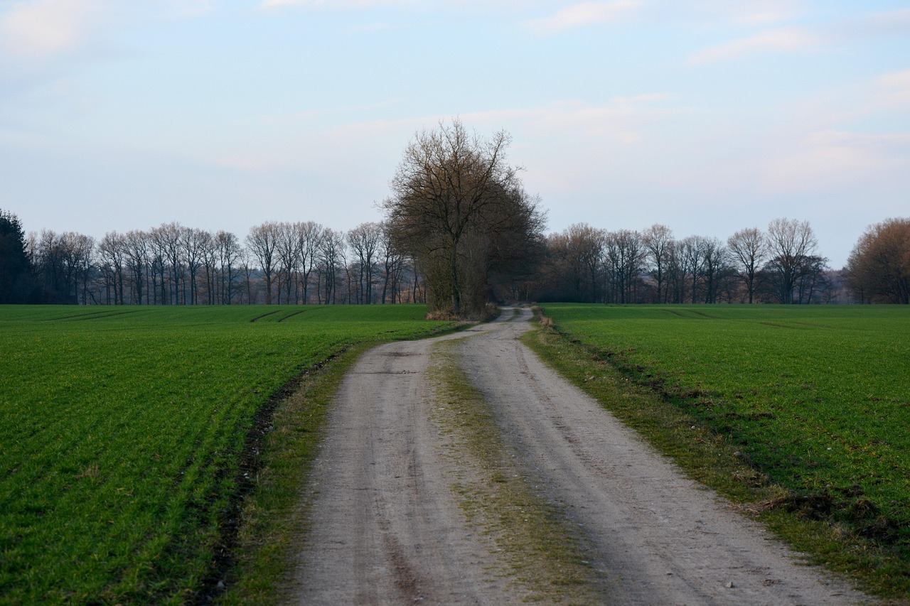 十堰农业保险!湖北农业保险 十堰农业保险!湖北农业保险