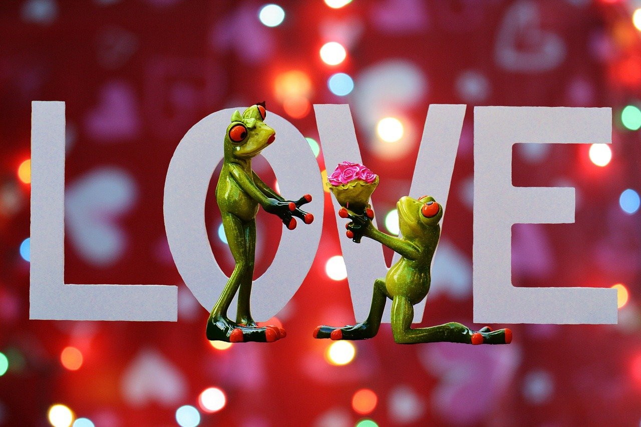 钟爱一生保险,守护爱与未来的承诺 钟爱一生保险,守护爱与未来的承诺