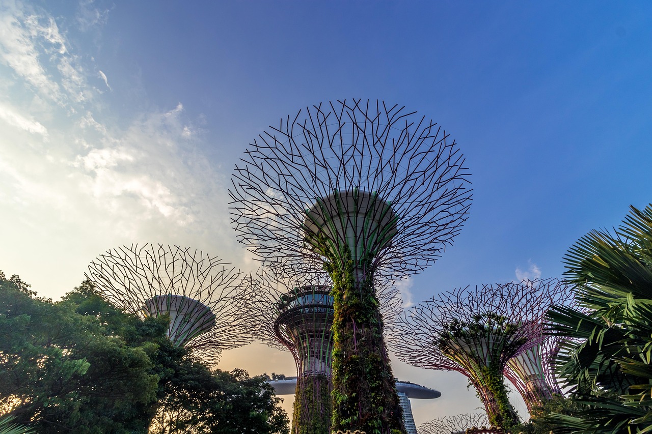 健康旅游图片素材/健康旅游有哪些项目