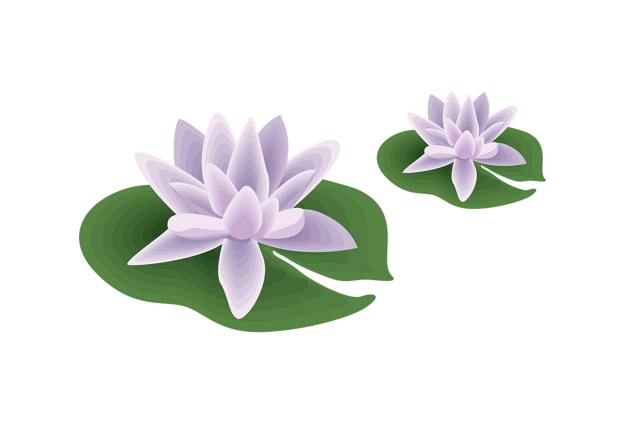 花卉游泳,游泳花痴