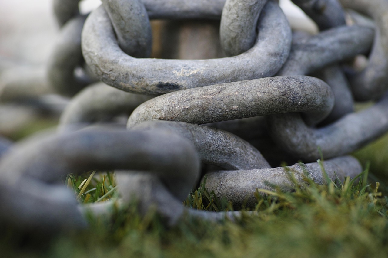 健康人体内有寄生虫吗?人的体内有寄生虫吗? 健康人体内有寄生虫吗?人的体内有寄生虫吗?