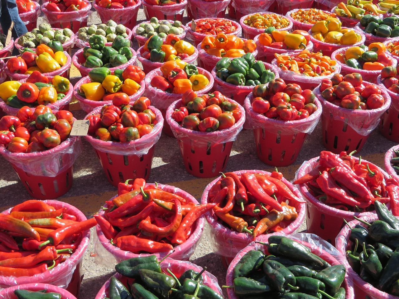 “陕西咸阳千亩辣椒免费摘”不实/ “陕西咸阳千亩辣椒免费摘”不实/