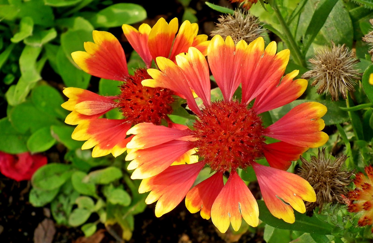 上海卖花卉不挣钱/上海卖花卉不挣钱的地方 上海卖花卉不挣钱/上海卖花卉不挣钱的地方