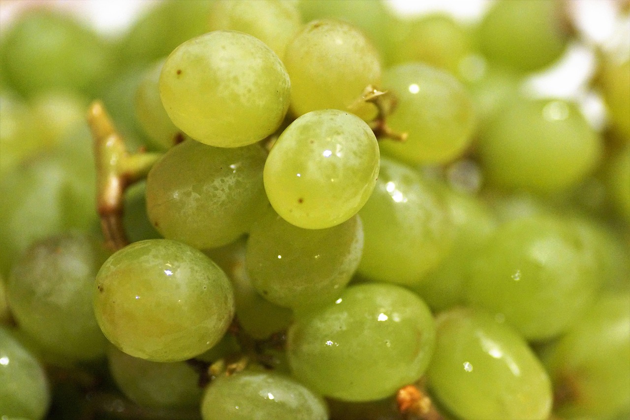 花甲粉丝健康吗!花甲粉丝能量高吗