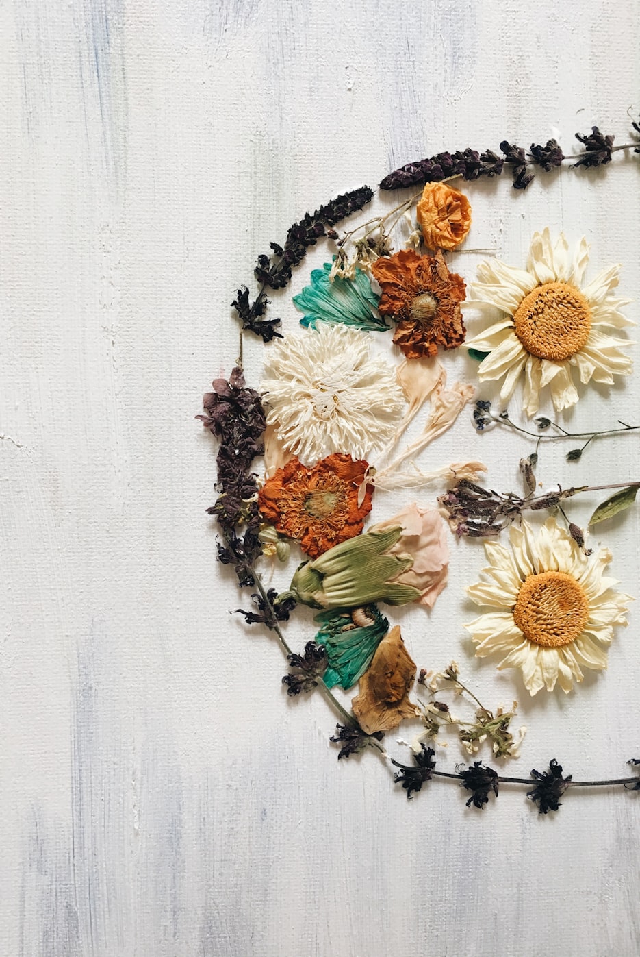 花卉何时换土,一门艺术与科学的结合 花卉何时换土,一门艺术与科学的结合