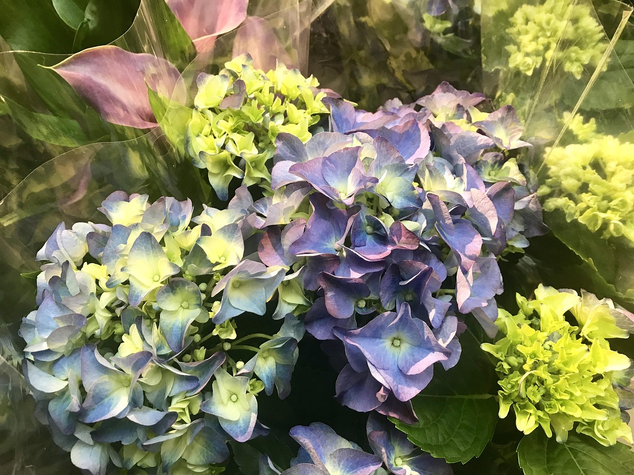 花卉蕾丝,编织自然之美的艺术 花卉蕾丝,编织自然之美的艺术