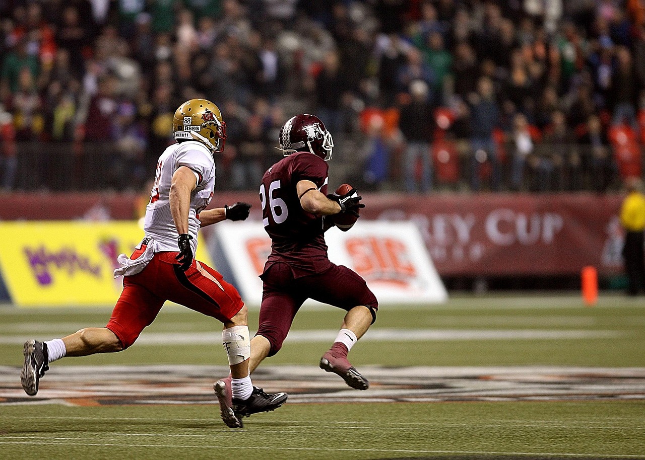 樊振东为决赛做好最困难的准备/樊振东获胜