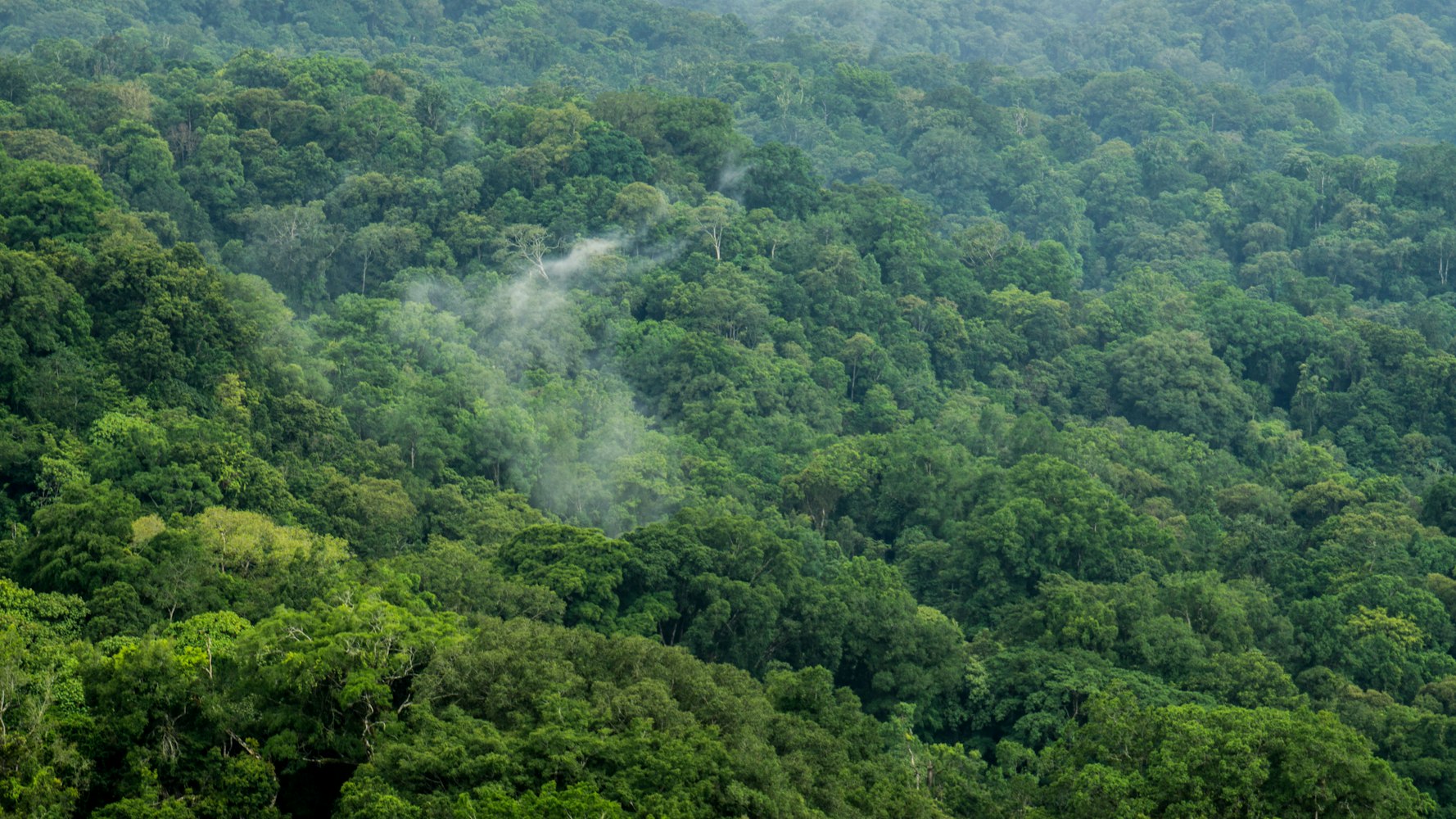 探索巴厘岛，一个独特的国家魅力