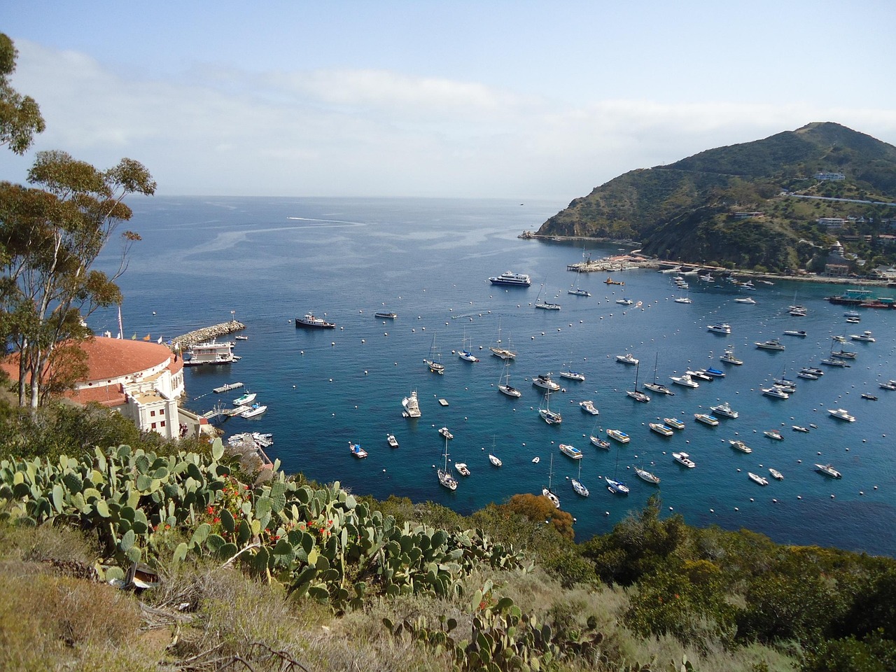 北京大风把昆明湖吹成了江湖!北京大风把昆明湖吹成了江湖是什么歌 北京大风把昆明湖吹成了江湖!北京大风把昆明湖吹成了江湖是什么歌